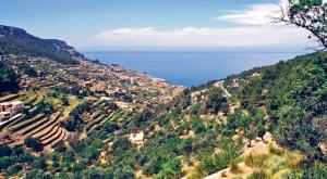Property for sale in the Tramontana mountains Mallorca