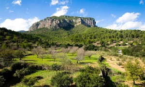 Central Mallorca Property for sale